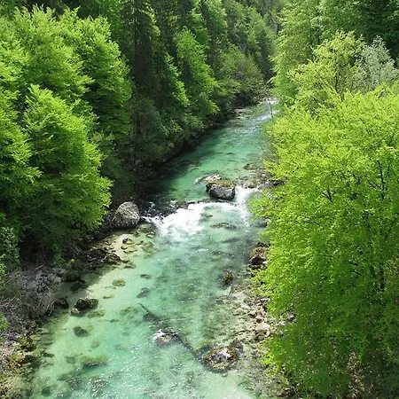 Sava River House - Lägenhet