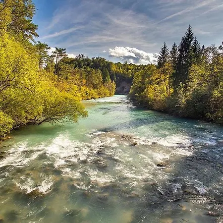 Sava River House -