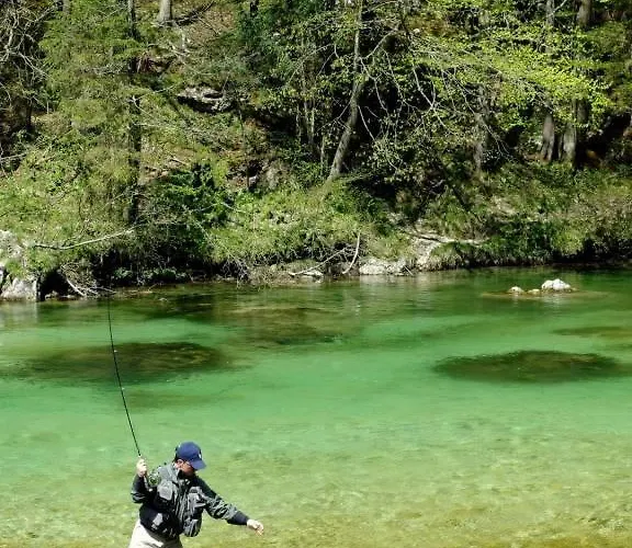 Διαμέρισμα Sava River House - *